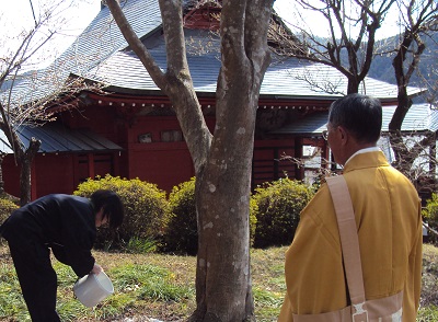 山への散骨 関東